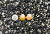 1055 Sunrise Shell Earrings