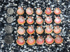 0079 lot of sunrise shells