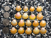 0082 lot of sunrise shells