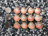 0051 lot of sunrise shells
