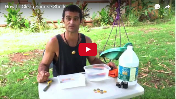 How to Clean Sunrise Shells