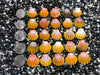 3023 lot of sunrise shells