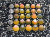 3030 lot of sunrise shells