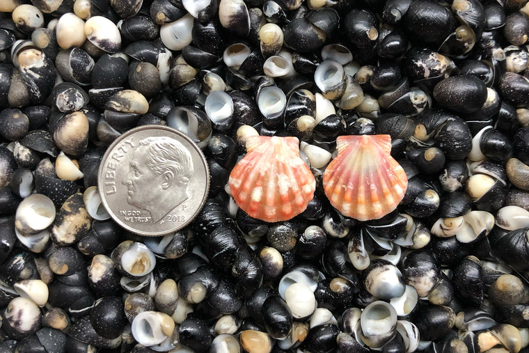 1566 Matched Earrings