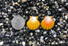 0833 Sunrise Shell Earrings