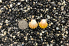0908 Sunrise Shell Earrings
