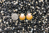 0961 Sunrise Shell Earrings