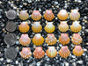 0664 lot of sunrise shells