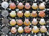 0740 lot of sunrise shells