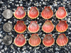 0074 lot of sunrise shells