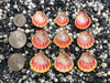 0099 lot of sunrise shells