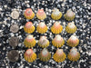 0033 lot of sunrise shells