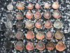 0035 lot of sunrise shells