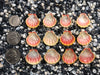 0081 lot of sunrise shells