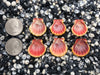 0090 lot of sunrise shells