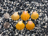 0018 lot of sunrise shells