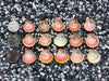 0045 lot of sunrise shells