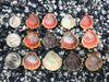 0031 lot of sunrise shells