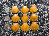 0017 lot of sunrise shells