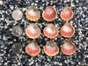 0029 lot of sunrise shells