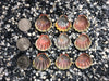 0087 lot of sunrise shells