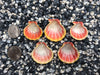 0018 lot of sunrise shells