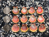 0085 lot of sunrise shells