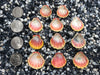 0089 lot of sunrise shells
