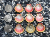 0106 lot of sunrise shells