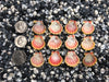 0047 lot of sunrise shells