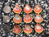 0091 lot of sunrise shells
