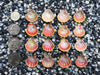 0062 lot of sunrise shells