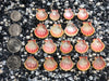 0082 lot of sunrise shells