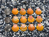 0066 lot of sunrise shells